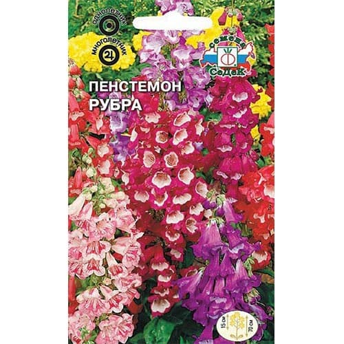 Пенстемон Рубра, смесь окрасок Седек изображение 1 артикул 93934