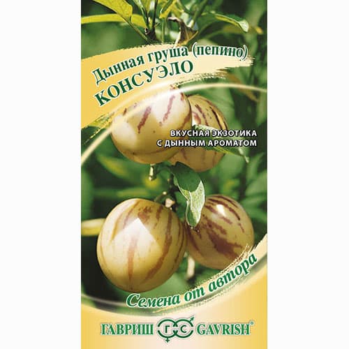 Пепино (дынная груша) Консуэло Гавриш артикул фото 1 Пепино (дынная груша) Консуэло Гавриш изображение 1 артикул 65256