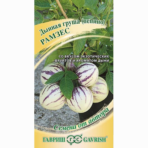 Пепино (дынная груша) Рамзес Гавриш изображение 1 артикул 65257
