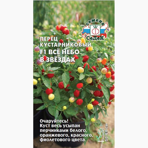 Перец кустарниковый Все небо в звездах F1 Седек изображение 1 артикул 98039