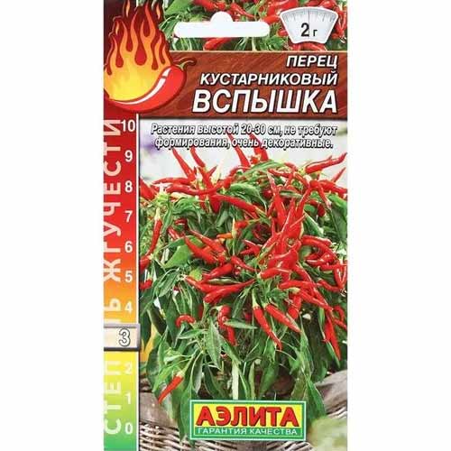 Перец кустарниковый Вспышка Аэлита артикул фото 1 Перец кустарниковый Вспышка Аэлита изображение 1 артикул 40158