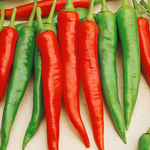 Перец острый Бонни F1 Седек изображение 1 артикул 71640