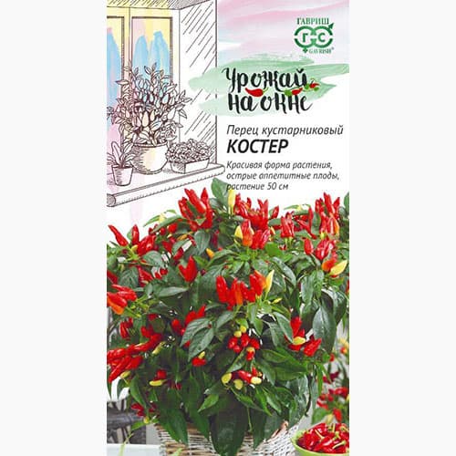 Перец острый кустарниковый Костер артикул фото 1 Перец острый кустарниковый Костер изображение 1 артикул 97472