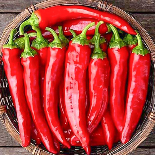 Перец острый Моя теща Premium Seeds изображение 1 артикул 83799