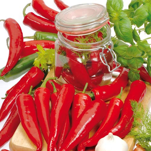 Перец острый Огонек, семена  изображение 1 артикул 9836