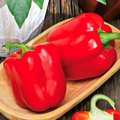 Перец сладкий Адмирал Ушаков F1 изображение 1 артикул 71666