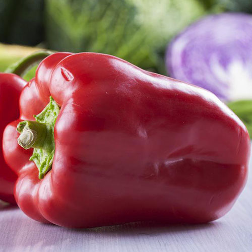 Перец сладкий Красный подснежник F1 Premium Seeds изображение 1 артикул 83809