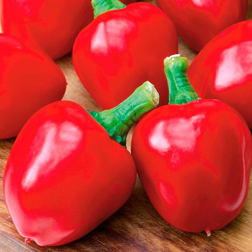 Перец сладкий Малютка F1 артикул фото 1 Перец сладкий Малютка F1 изображение 1 артикул 71853