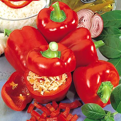 Перец сладкий Рубиновый, семена изображение 1 артикул 9838