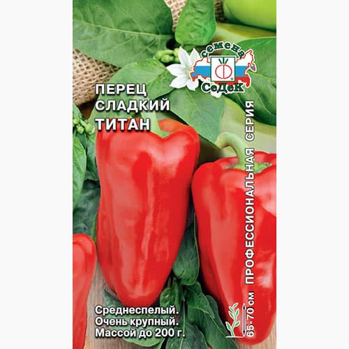 Перец сладкий Титан Седек артикул фото 1 Перец сладкий Титан Седек изображение 1 артикул 98083