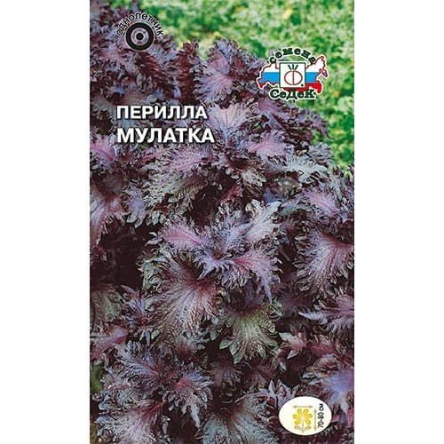 Перилла кустарниковая Мулатка Седек изображение 1 артикул 93935