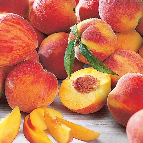 Персик Амбер Голд изображение 1 артикул 4221