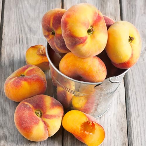 Персик Бельмондо инжирный изображение 1 артикул 7911