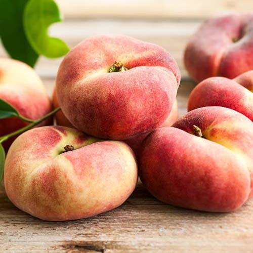 Персик Инжирный Никитинский изображение 1 артикул 4236