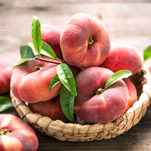 Персик инжирный Сатурн изображение 1 артикул 4225