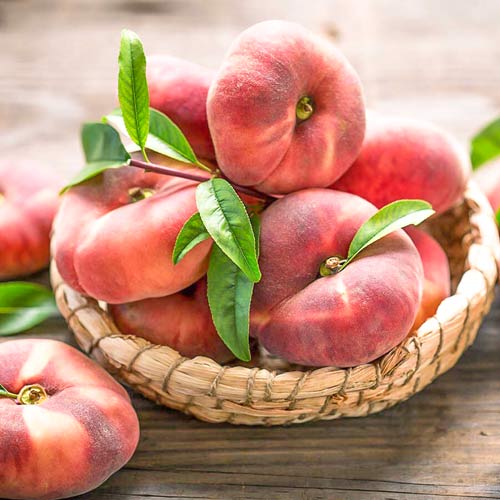 Персик Никитинский инжирный изображение 1 артикул 7912