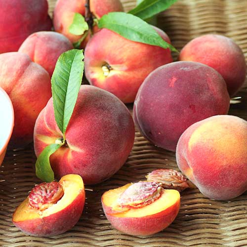 Персик Роял Ви изображение 1 артикул 4229
