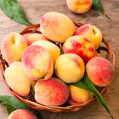 Персик Топ Свит изображение 1 артикул 4233