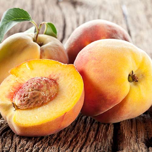 Персик Золотая Москва изображение 1 артикул 4235