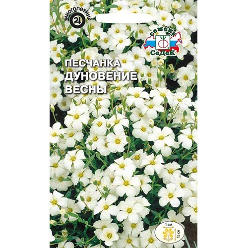 Песчанка Дуновение весны Седек изображение 1 артикул 93936