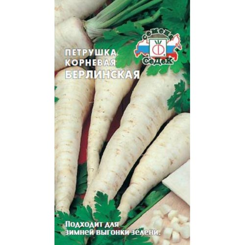 Петрушка корневая Берлинская Седек изображение 1 артикул 93492
