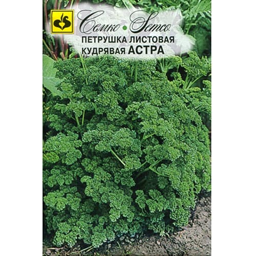 Петрушка кудрявая Астра Семко артикул фото 1 Петрушка кудрявая Астра Семко изображение 1 артикул 94266