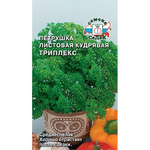 Петрушка кудрявая Триплекс Седек изображение 1 артикул 93498