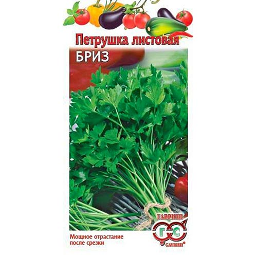 Петрушка листовая Бриз Гавриш изображение 1 артикул 91797