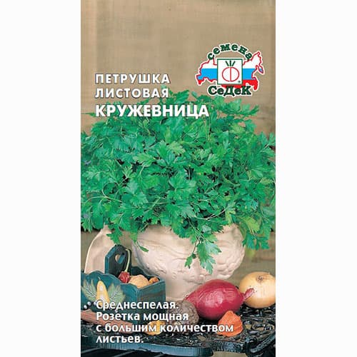 Петрушка листовая Кружевница Седек артикул фото 1 Петрушка листовая Кружевница Седек изображение 1 артикул 93500