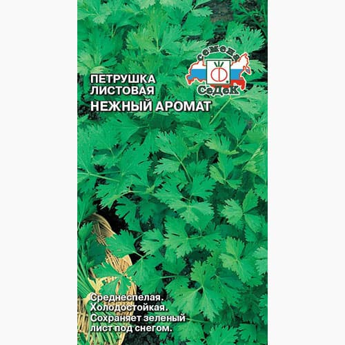 Петрушка листовая Нежный аромат, Седек изображение 1 артикул 98188