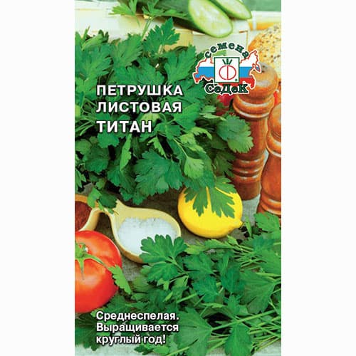 Петрушка листовая Титан Седек изображение 1 артикул 65143