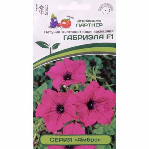 Петуния многоцветковая каскадная Амбре Габриэла F1 Партнер изображение 1 артикул 82952