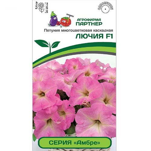 Петуния Амбре Лючия F1 Партнер изображение 1 артикул 82954