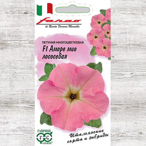 Петуния Аморе Мио лососевая F1 Гавриш артикул фото 1 Петуния Аморе Мио лососевая F1 Гавриш изображение 1 артикул 71222