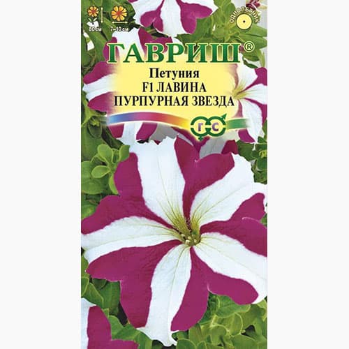 Петуния ампельная Лавина Пурпурная Звезда F1 Гавриш изображение 1 артикул 97781