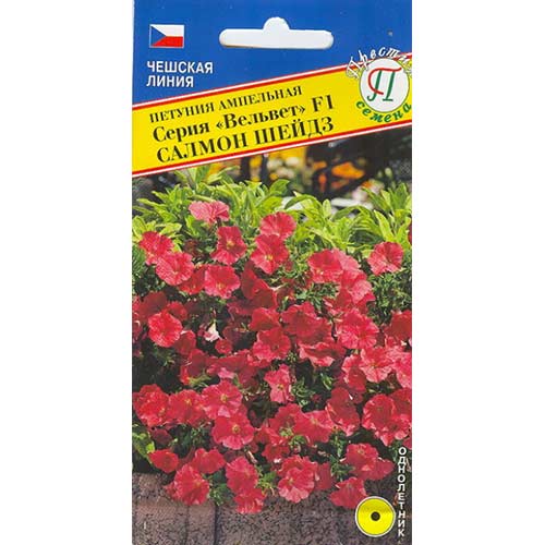 Петуния Вельвет Салмон Шейдз F1 Престиж артикул фото 1 Петуния Вельвет Салмон Шейдз F1 Престиж изображение 1 артикул 65858
