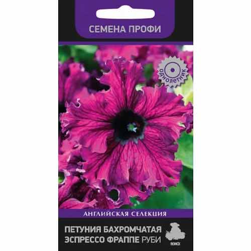Петуния бахромчатая Эспрессо Фраппе Руби Поиск изображение 1 артикул 97892