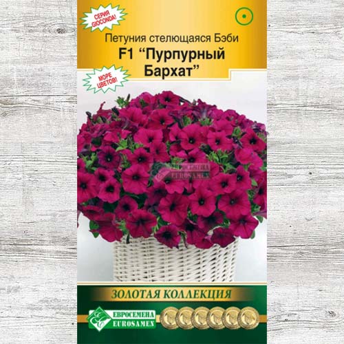 Петуния Бэби Пурпурный бархат F1 изображение 1 артикул 83462