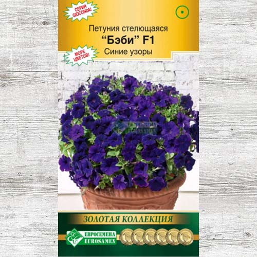 Петуния Бэби Синие узоры F1 артикул фото 1 Петуния Бэби Синие узоры F1 изображение 1 артикул 83463