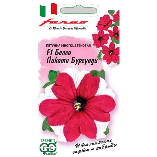 Петуния Белла Пикоти Бургунди F1 Гавриш изображение 1 артикул 92187