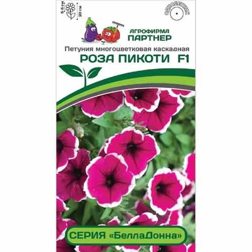 Петуния многоцветковая каскадная БеллаДонна Роза Пикоти F1 Партнер изображение 1 артикул 83008