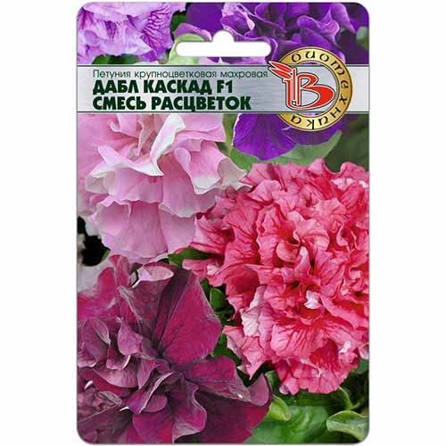 Петуния Дабл Каскад F1, смесь окрасок Биотехника артикул фото 1 Петуния Дабл Каскад F1, смесь окрасок Биотехника изображение 1 артикул 82709
