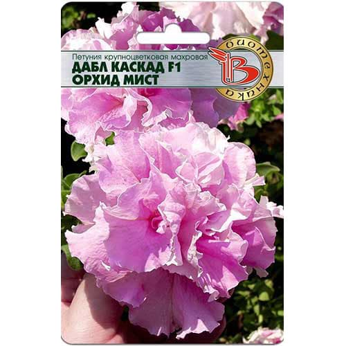 Петуния крупноцветковая махровая Дабл Каскад Орхид Мист F1 Биотехника артикул фото 1 Петуния крупноцветковая махровая Дабл Каскад Орхид Мист F1 Биотехника изображение 1 артикул 82707