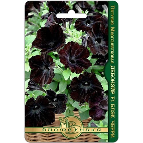 Петуния многоцветковая Дебонэйр Блэк Черри F1 Биотехника изображение 1 артикул 74112