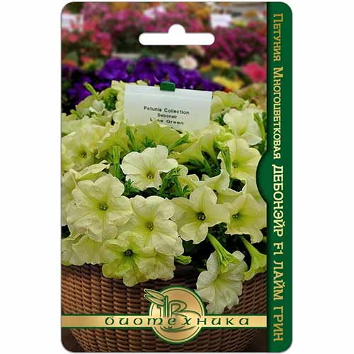 Петуния многоцветковая Дебонэйр Лайм Грин F1 Биотехника изображение 1 артикул 74114