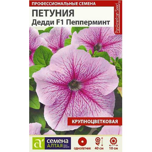 Петуния Дедди F1, смесь окрасок Семена Алтая изображение 1 артикул 81718
