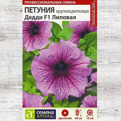 Петуния Дедди Лиловая F1 артикул фото 1 Петуния Дедди Лиловая F1 изображение 1 артикул 81716