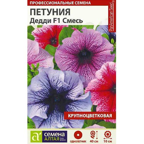 Петуния Дедди Пепперминт F1 Семена Алтая артикул фото 1 Петуния Дедди Пепперминт F1 Семена Алтая изображение 1 артикул 81717