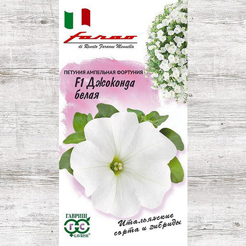 Петуния Джоконда белая F1 Гавриш артикул фото 1 Петуния Джоконда белая F1 Гавриш изображение 1 артикул 71228