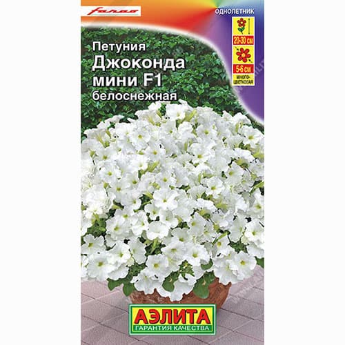 Петуния Джоконда мини белоснежная F1 Аэлита артикул фото 1 Петуния Джоконда мини белоснежная F1 Аэлита изображение 1 артикул 99051
